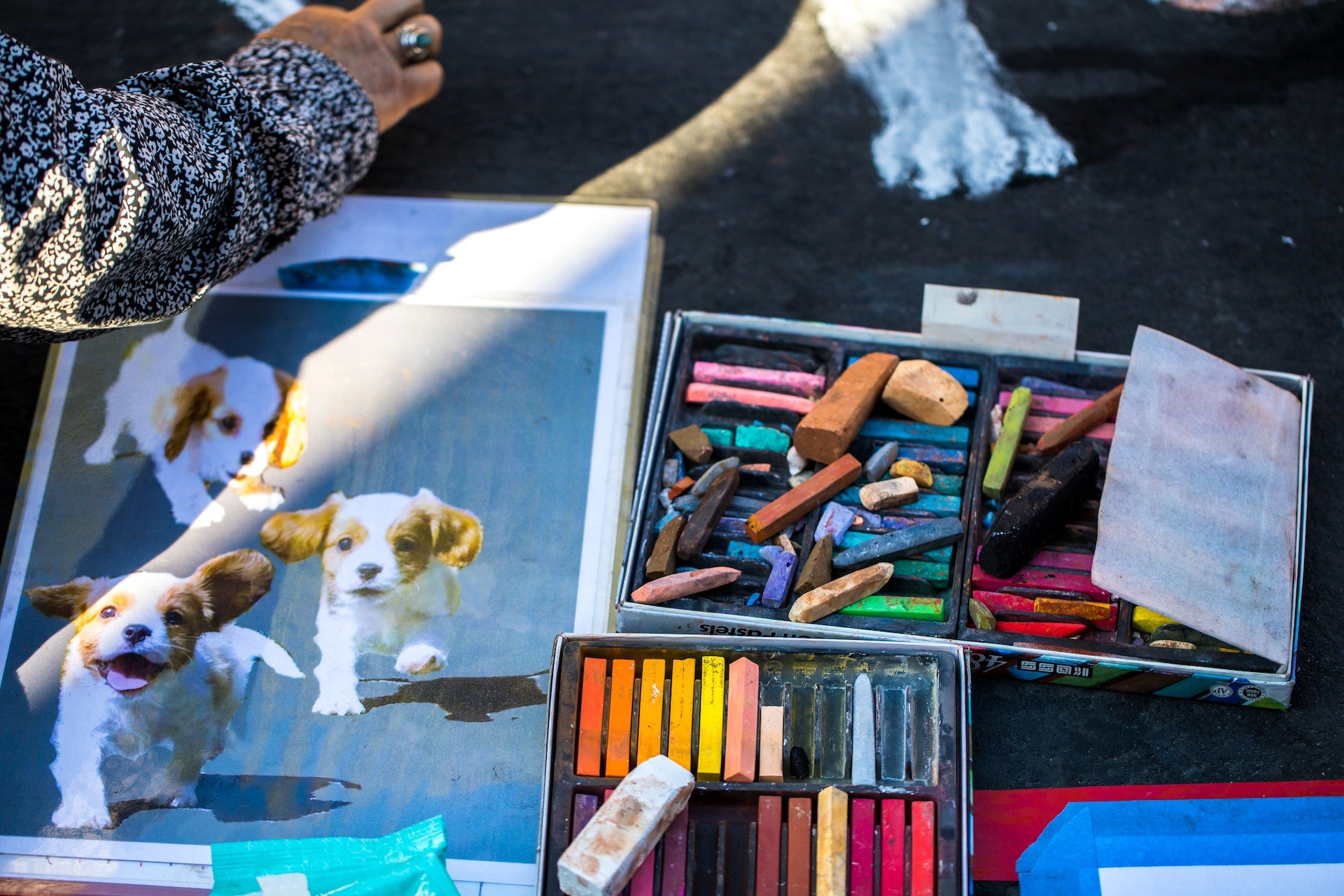 Dogs in Art and Culture