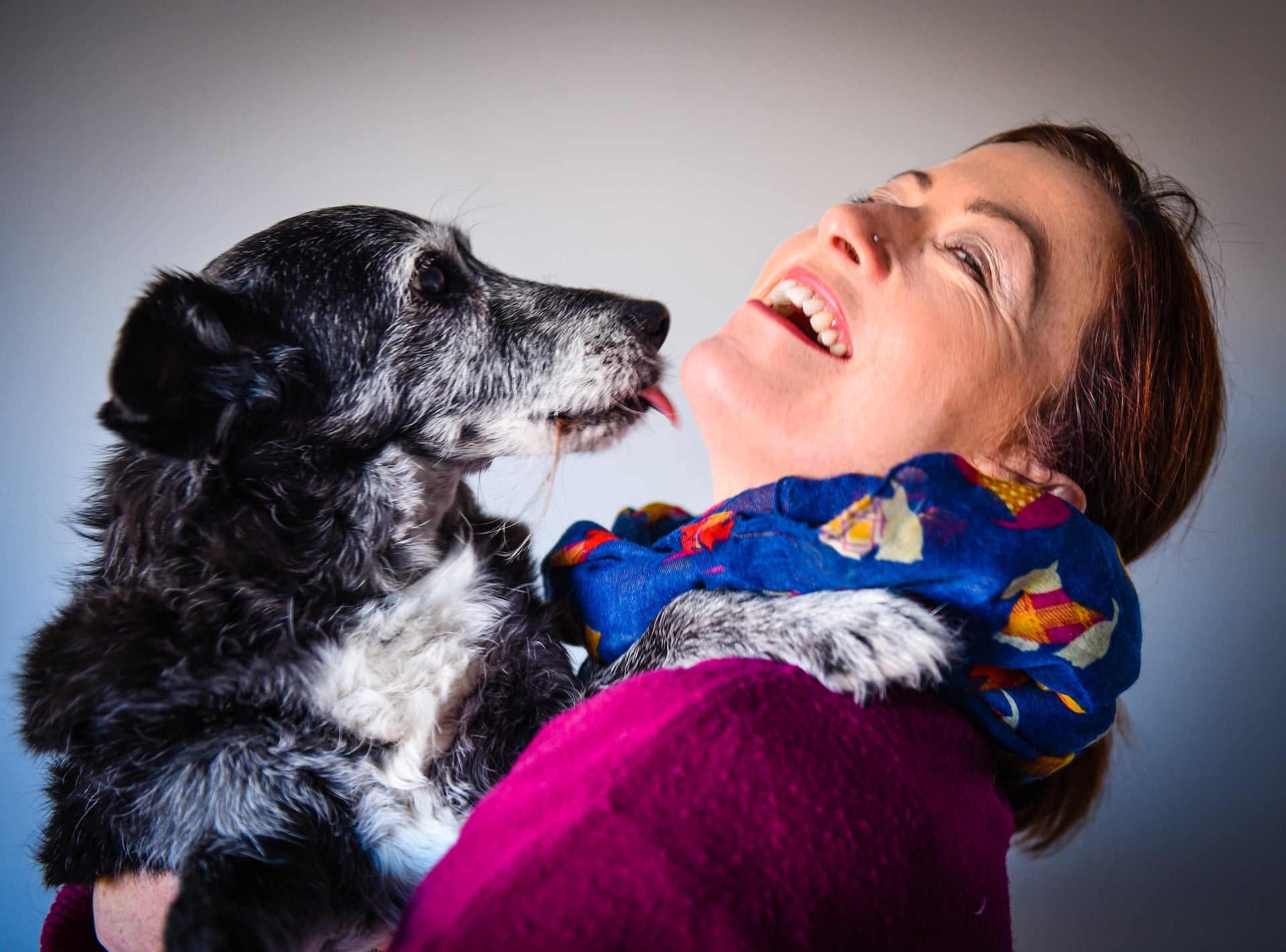 How to Prevent Stinky Dog Breath