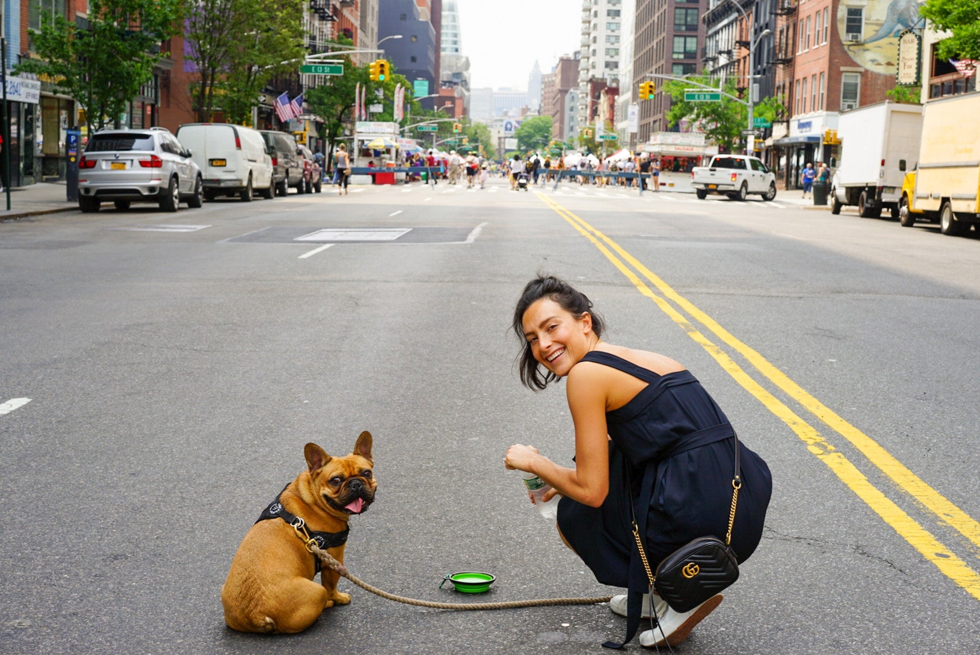 Frenchie Events And Large Meetups in The US