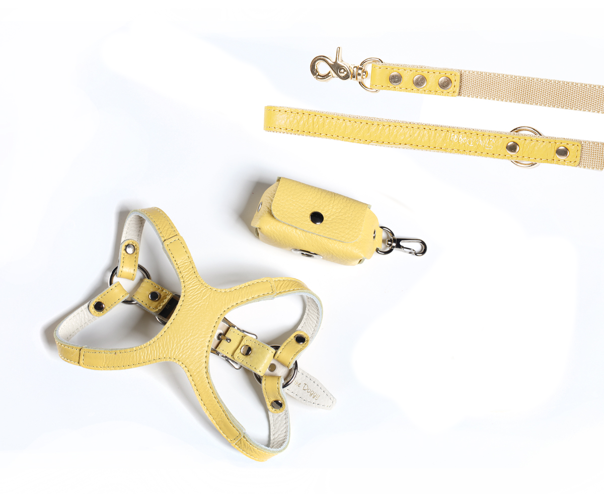 Leather Dog Harness and Leash Set