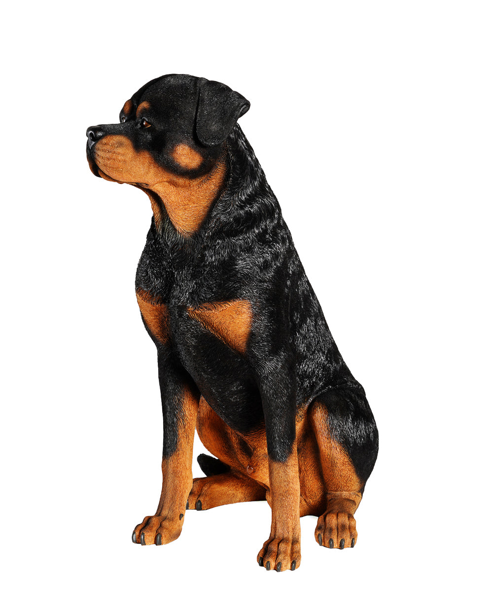 Rottweiler Statue 1:1 Real Size side view