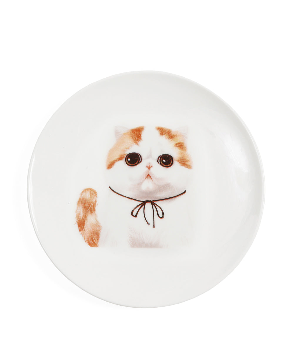 Pet Portrait Porcelain Middle Print 6" Plate - Exotic Shorthair