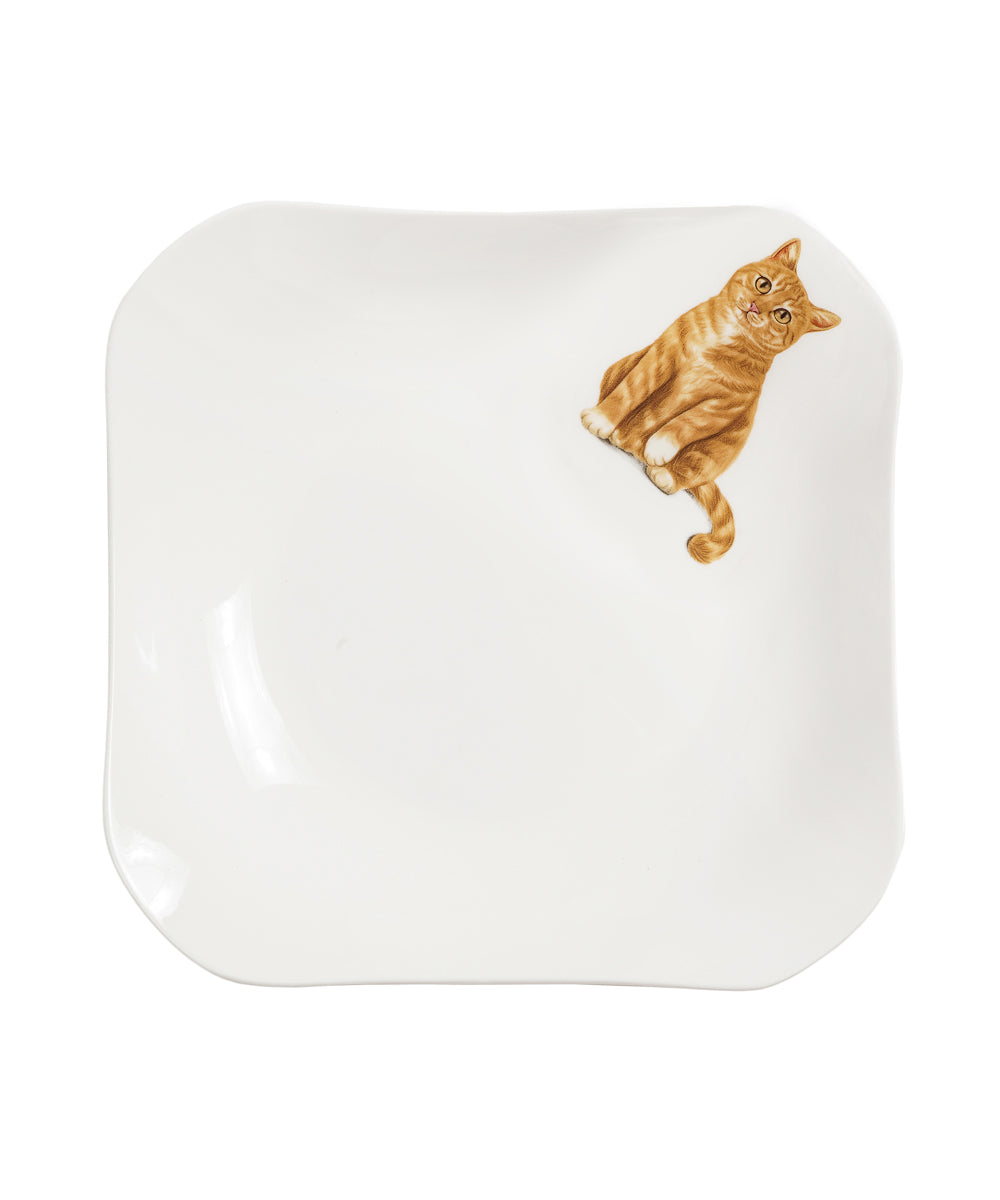 Pet Portrait Porcelain Square Plate - Orange Tabby