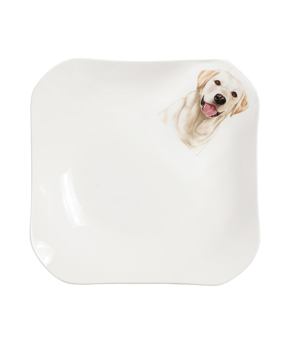 Labrador square plate top view