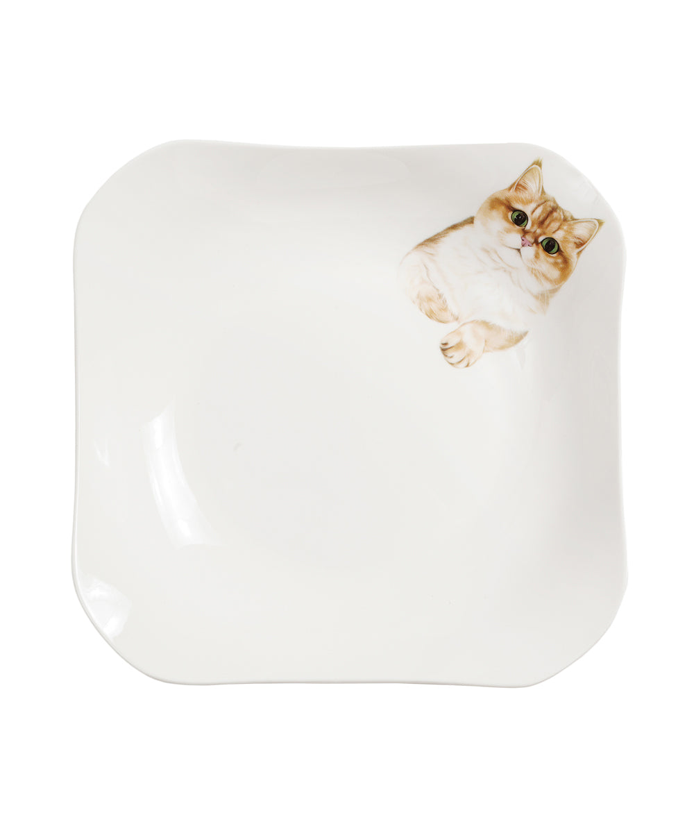 Pet Portrait Porcelain Square Plate - British Shorthair(Golden)