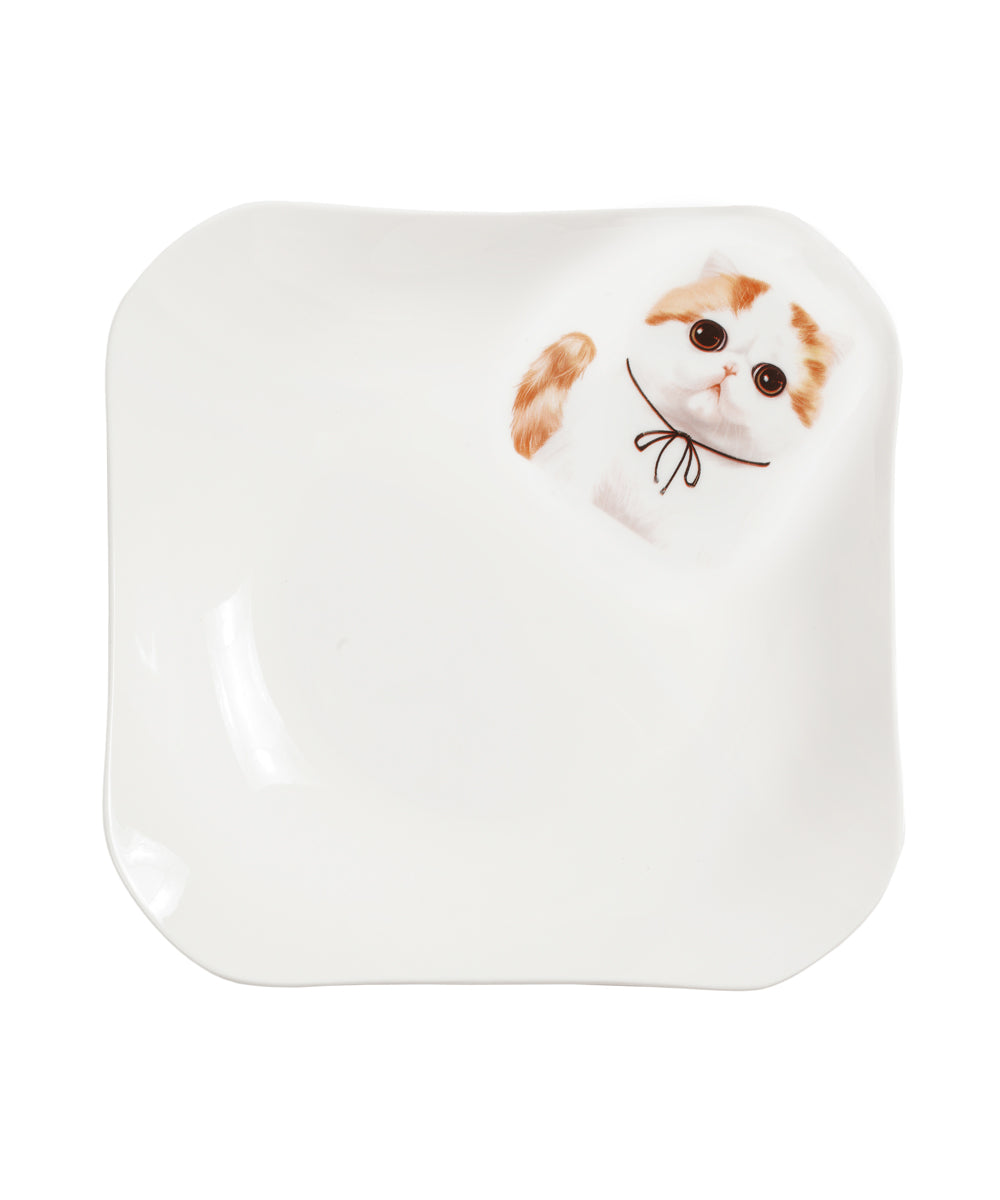 Pet Portrait Porcelain Square Plate - Exotic Shorthair