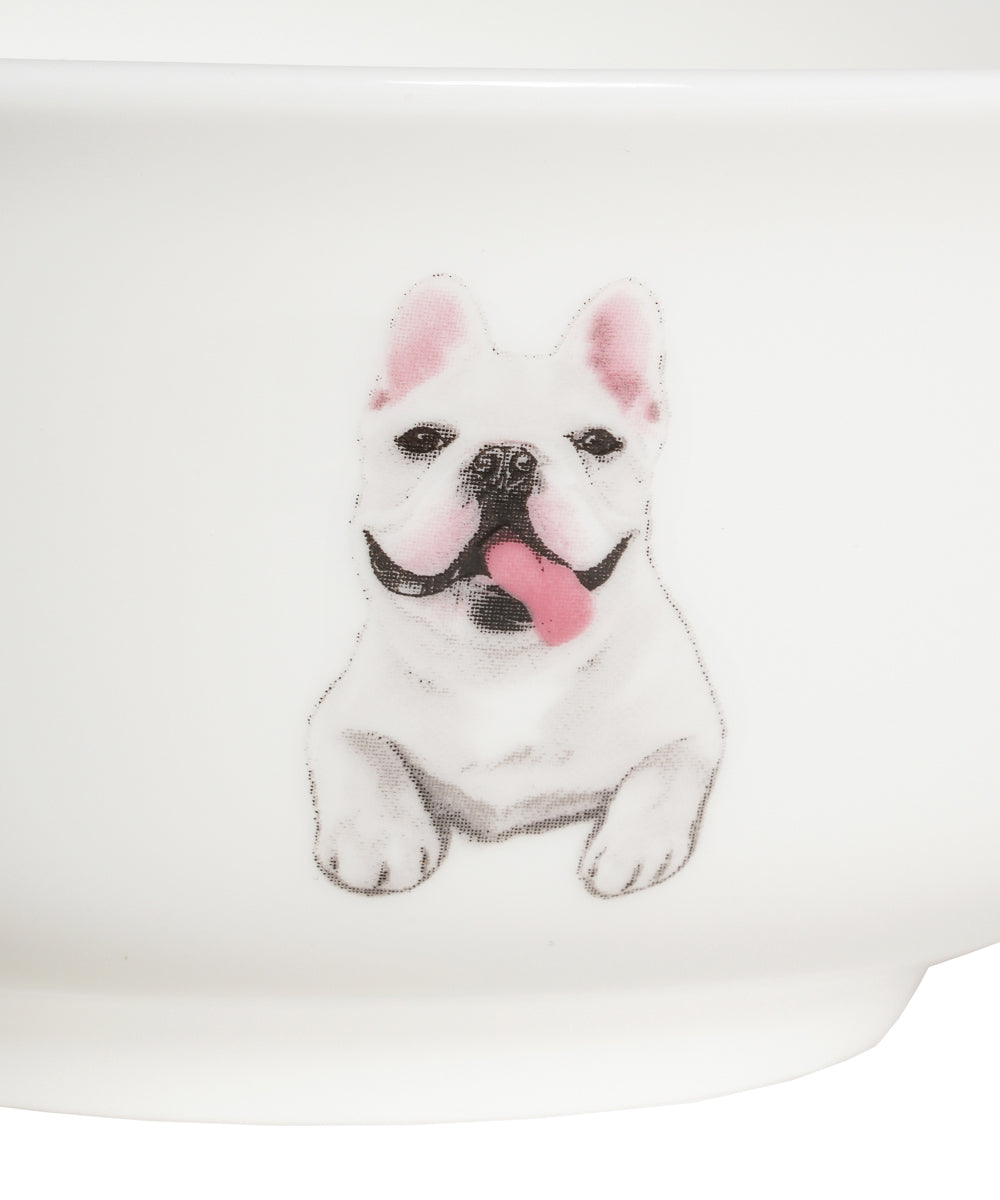 Pet Portrait Porcelain All Purpose Bowl - French Bulldog