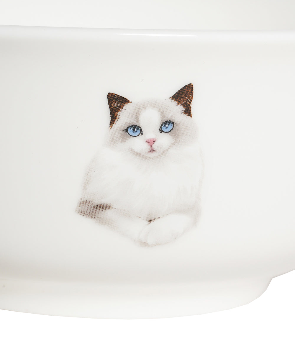 Pet Portrait Porcelain All Purpose Bowl - Ragdoll