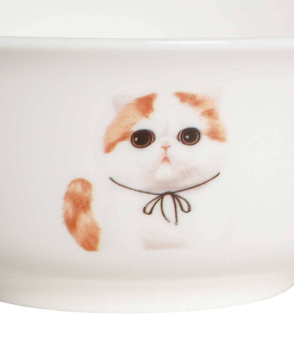 Pet Portrait Porcelain All Purpose Bowl - Exotic Shorthair