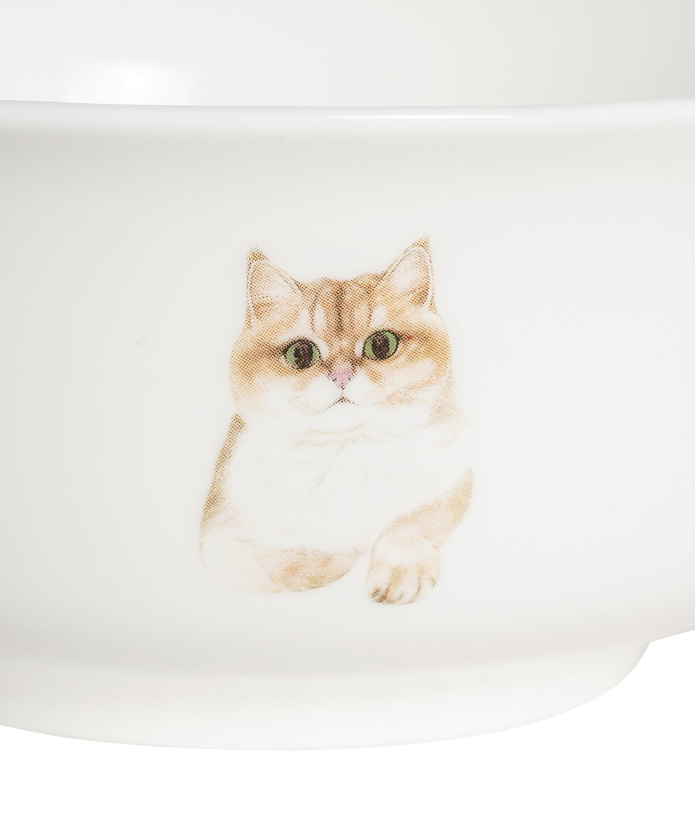 Pet Portrait Porcelain All Purpose Bowl - British Shorthair(Golden)