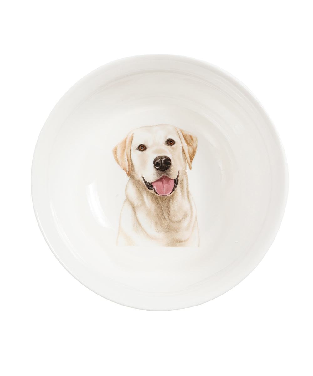Labrador bowl top view