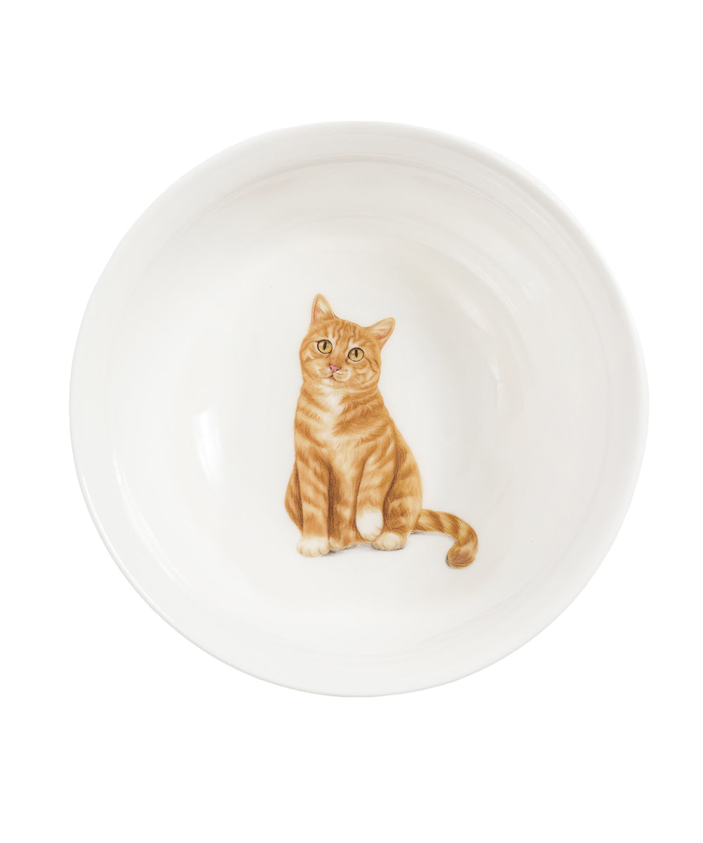 Pet Portrait Porcelain All Purpose Bowl - Orange Tabby