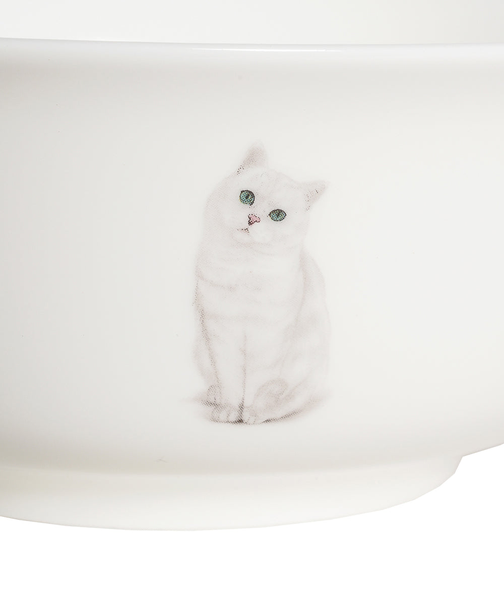 Pet Portrait Porcelain All Purpose Bowl - British Shorthair