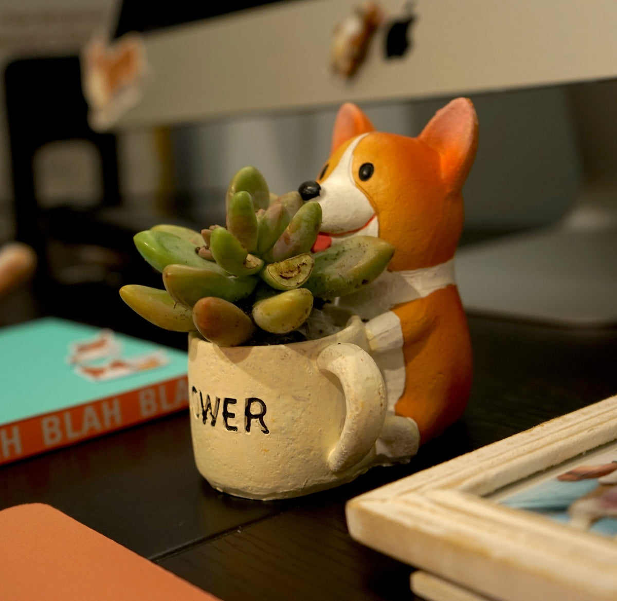 Corgi Small Plant Pot on desk with plant inside
