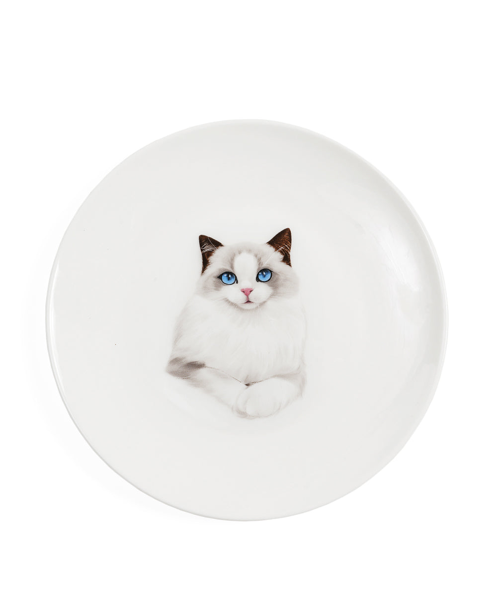 Pet Portrait Porcelain Middle Print 6" Plate - Ragdoll