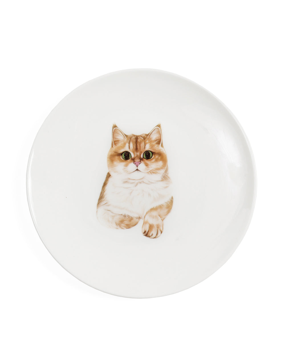 Pet Portrait Porcelain Middle Print 6" Plate - British Shorthair(Golden)