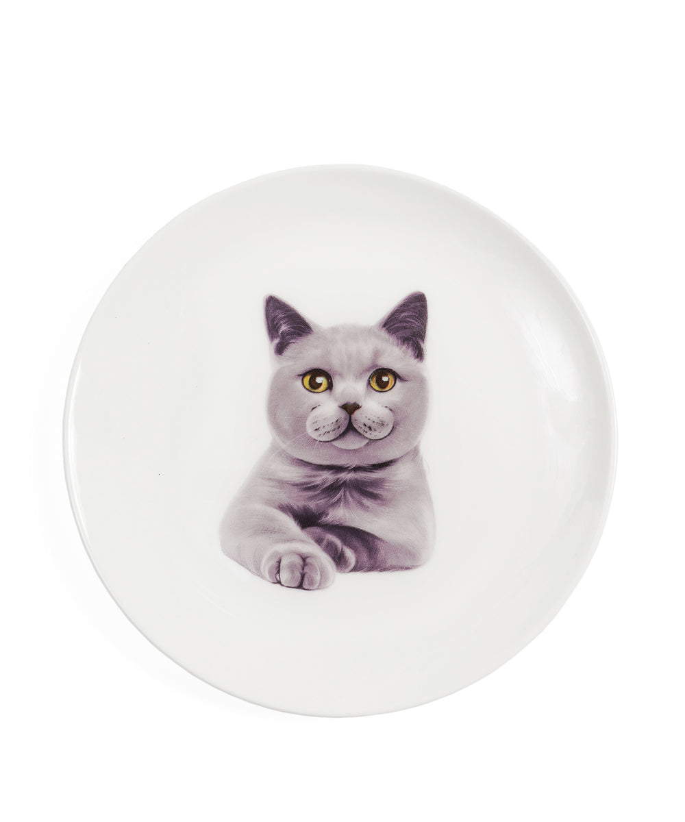Pet Portrait Porcelain Middle Print 6" Plate - Chartreux