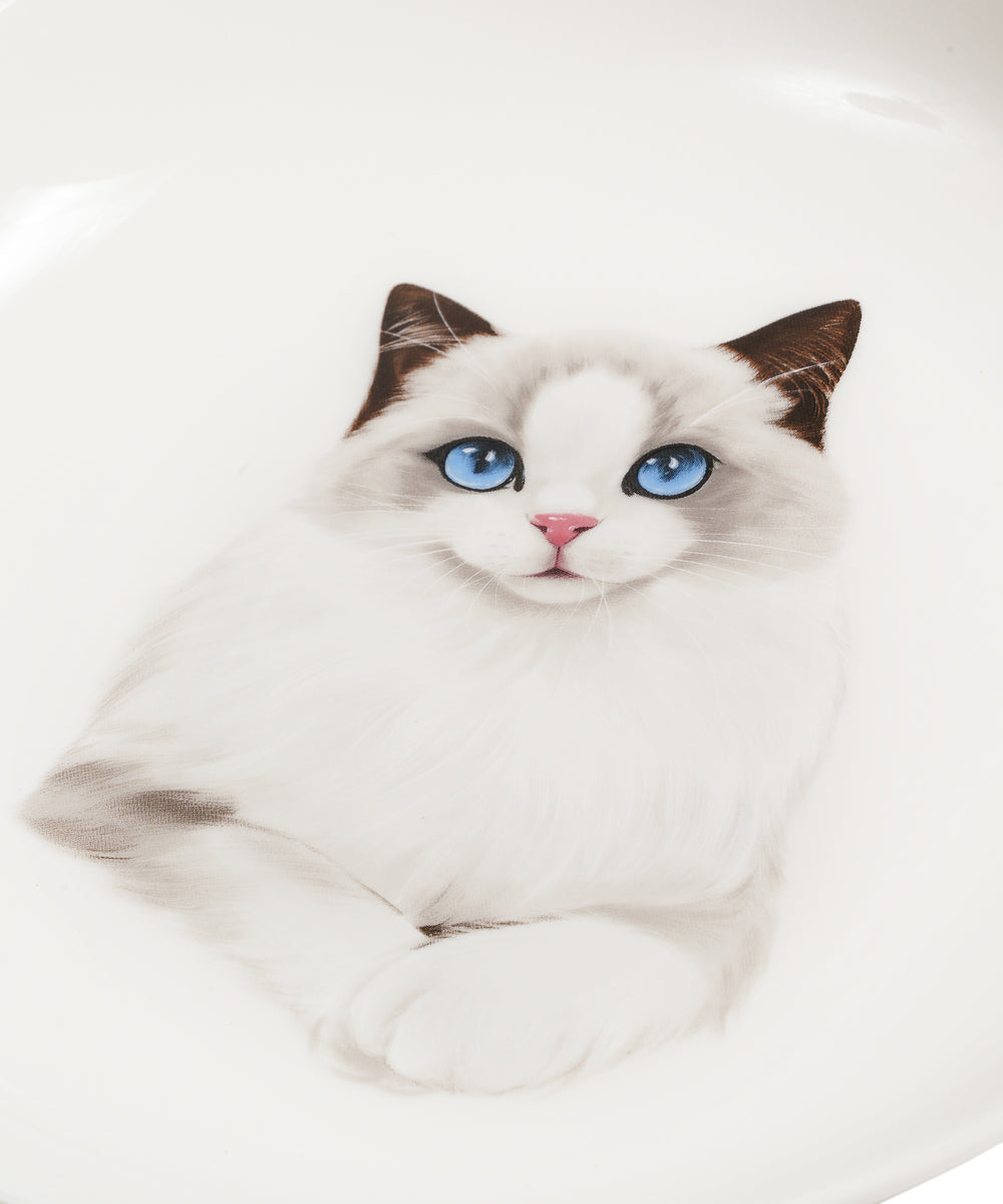 Pet Portrait Porcelain Middle Print 8" Plate Set - Ragdoll