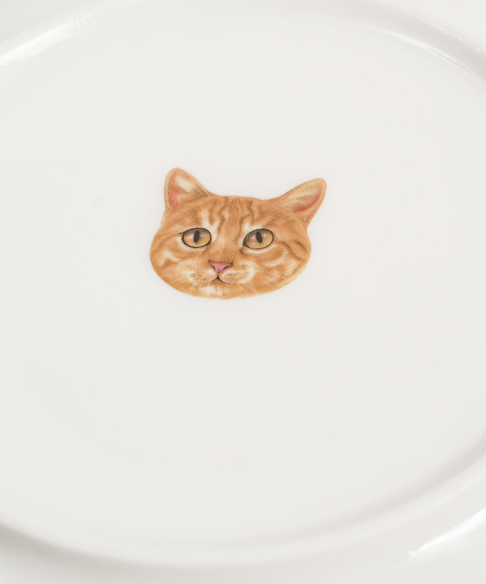 Pet Portrait Porcelain Middle Print 8" Plate Set - Orange Tabby