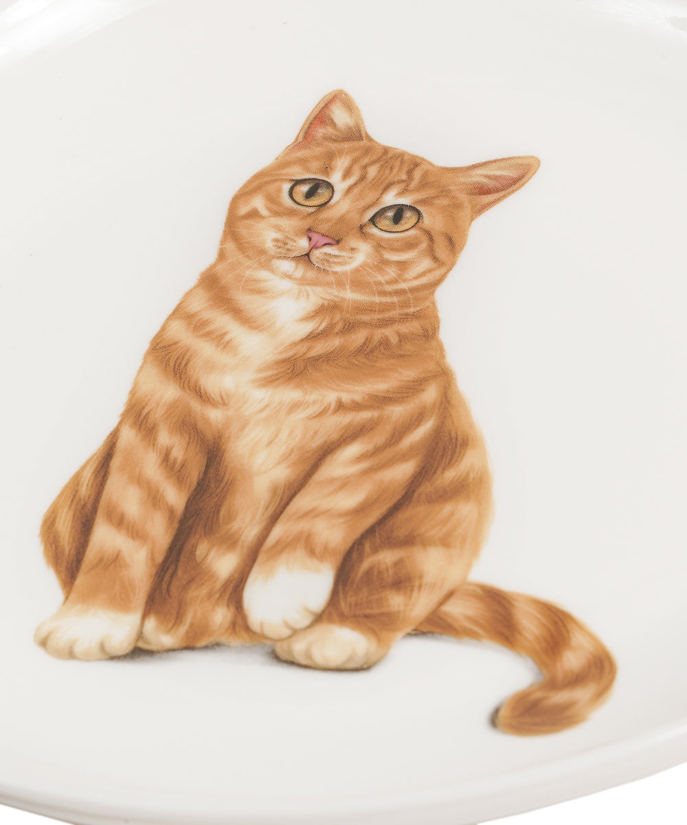 Pet Portrait Porcelain Middle Print 8" Plate Set - Orange Tabby