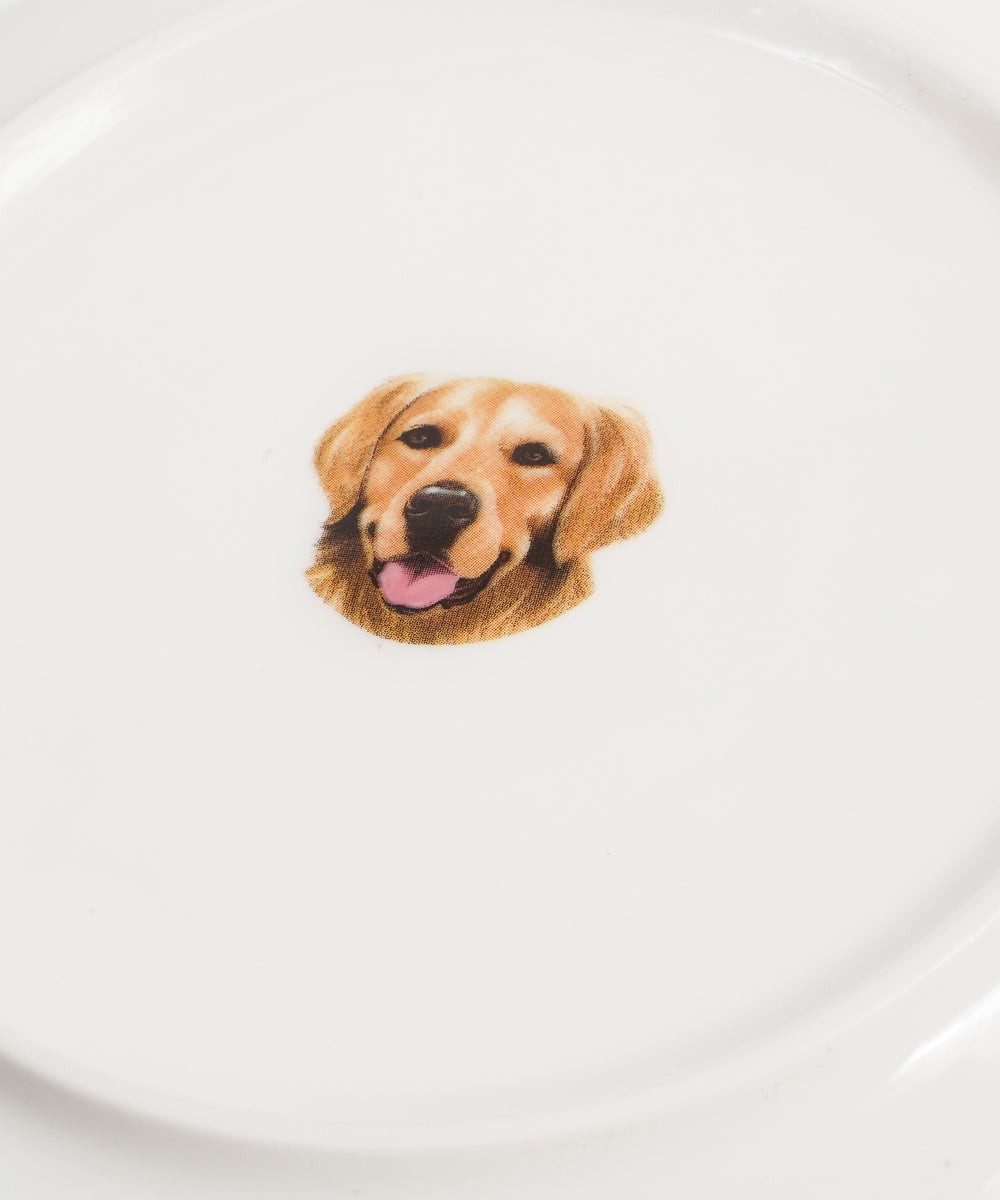 Pet Portrait Porcelain Middle Print 8" Plate Set - Golden Retriever