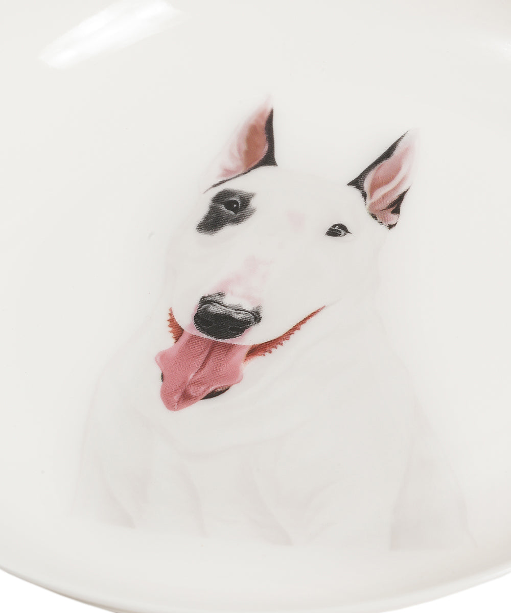 Pet Portrait Porcelain Middle Print 8" Plate Set - Bull Terrier