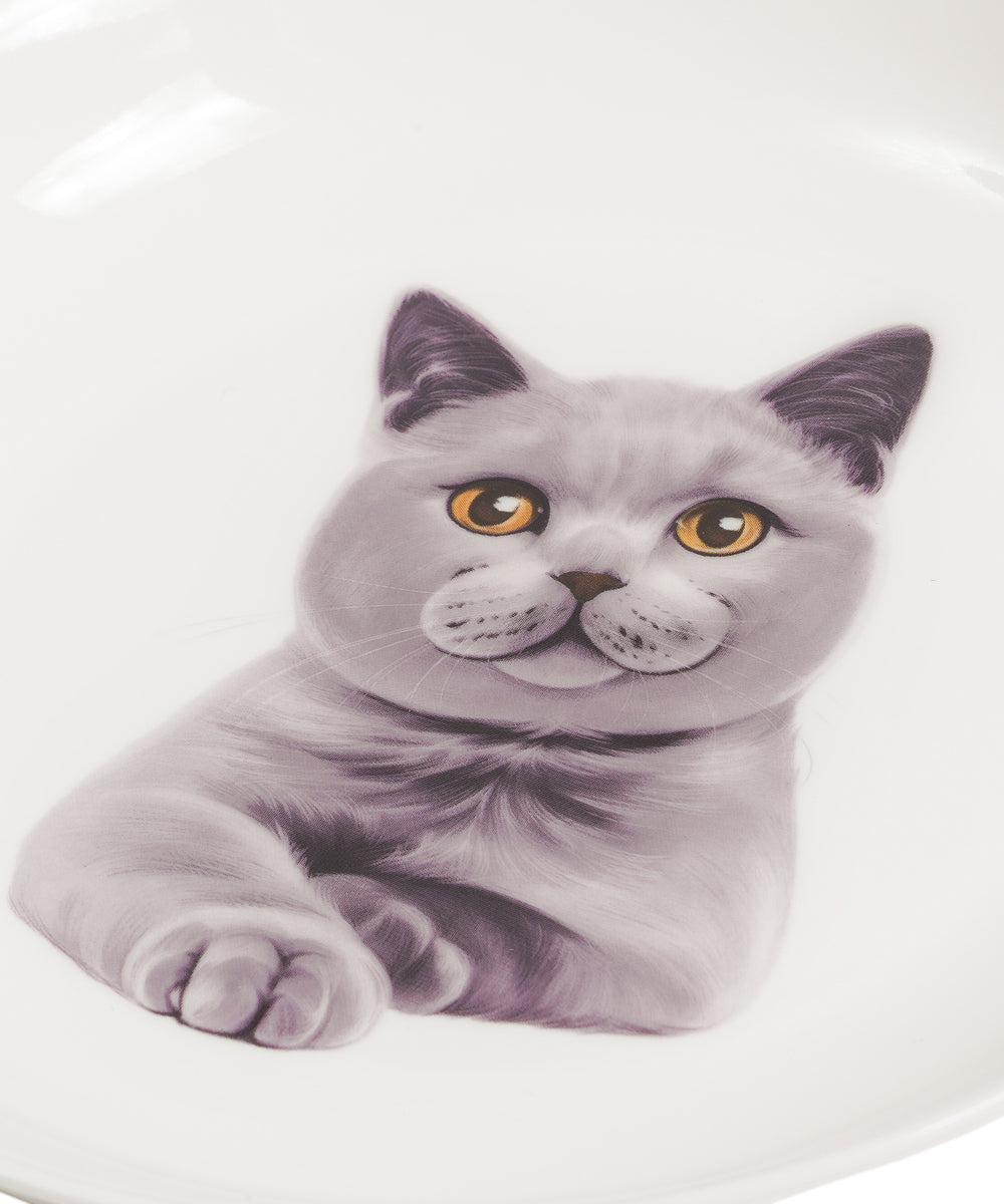 Pet Portrait Porcelain Middle Print 8" Plate Set - Chartreux