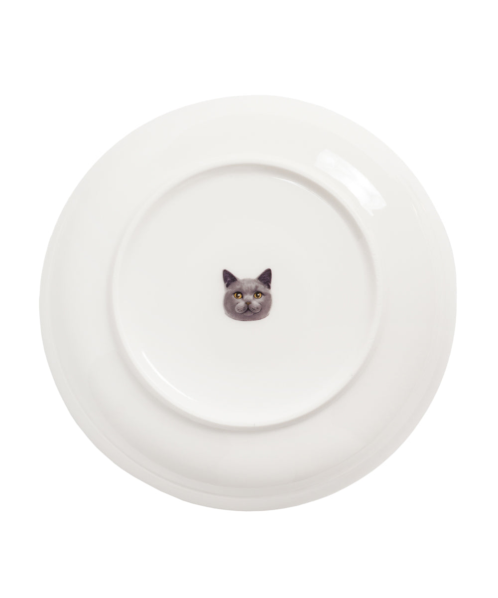 Pet Portrait Porcelain Middle Print 8" Plate Set - Chartreux