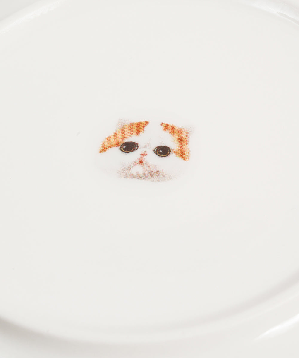 Pet Portrait Porcelain Middle Print 8" Plate Set - Exotic Shorthair