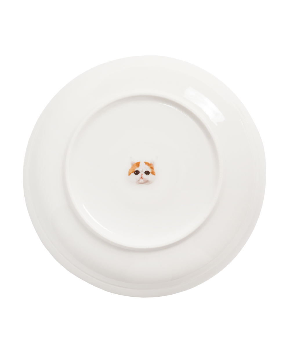 Pet Portrait Porcelain Middle Print 8" Plate Set - Exotic Shorthair