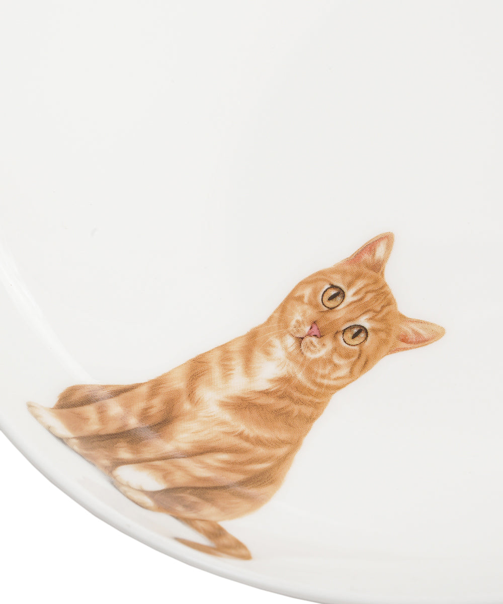 Pet Portrait Porcelain Side Print 8" Plate Set - Orange Tabby