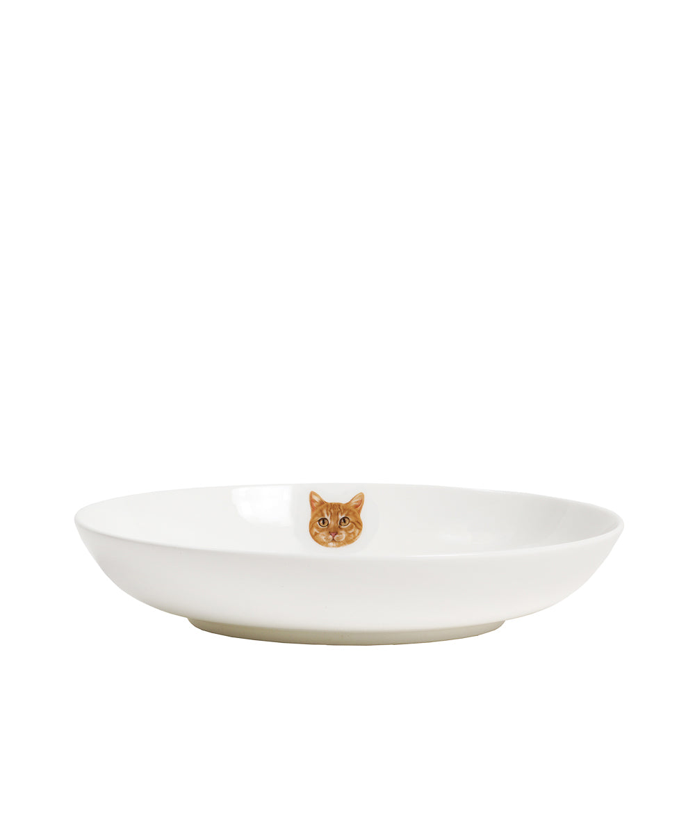 Pet Portrait Porcelain Side Print 8" Plate Set - Orange Tabby