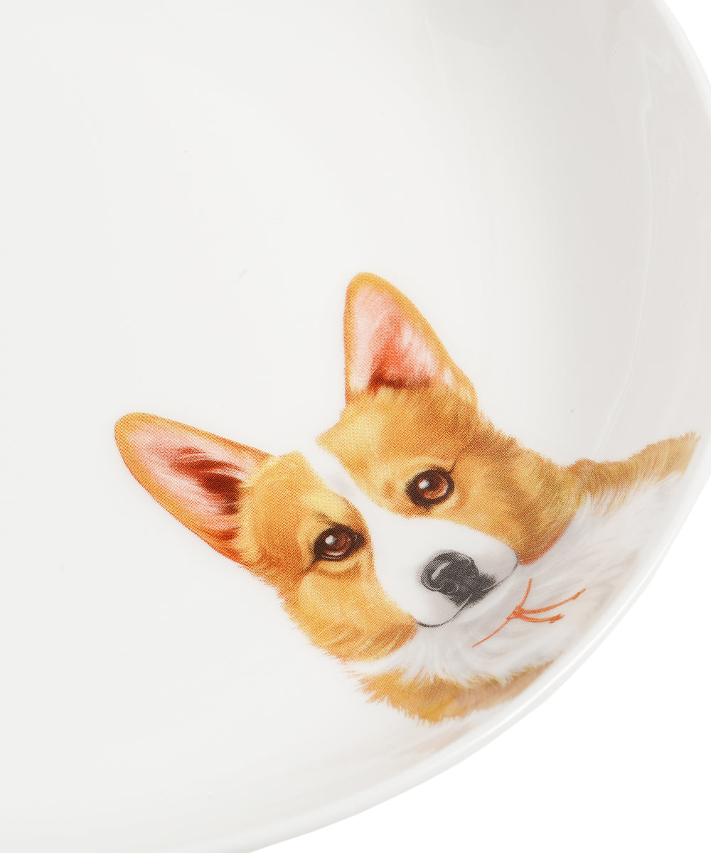 Pet Portrait Porcelain Side Print 8" Plate Set - Corgi