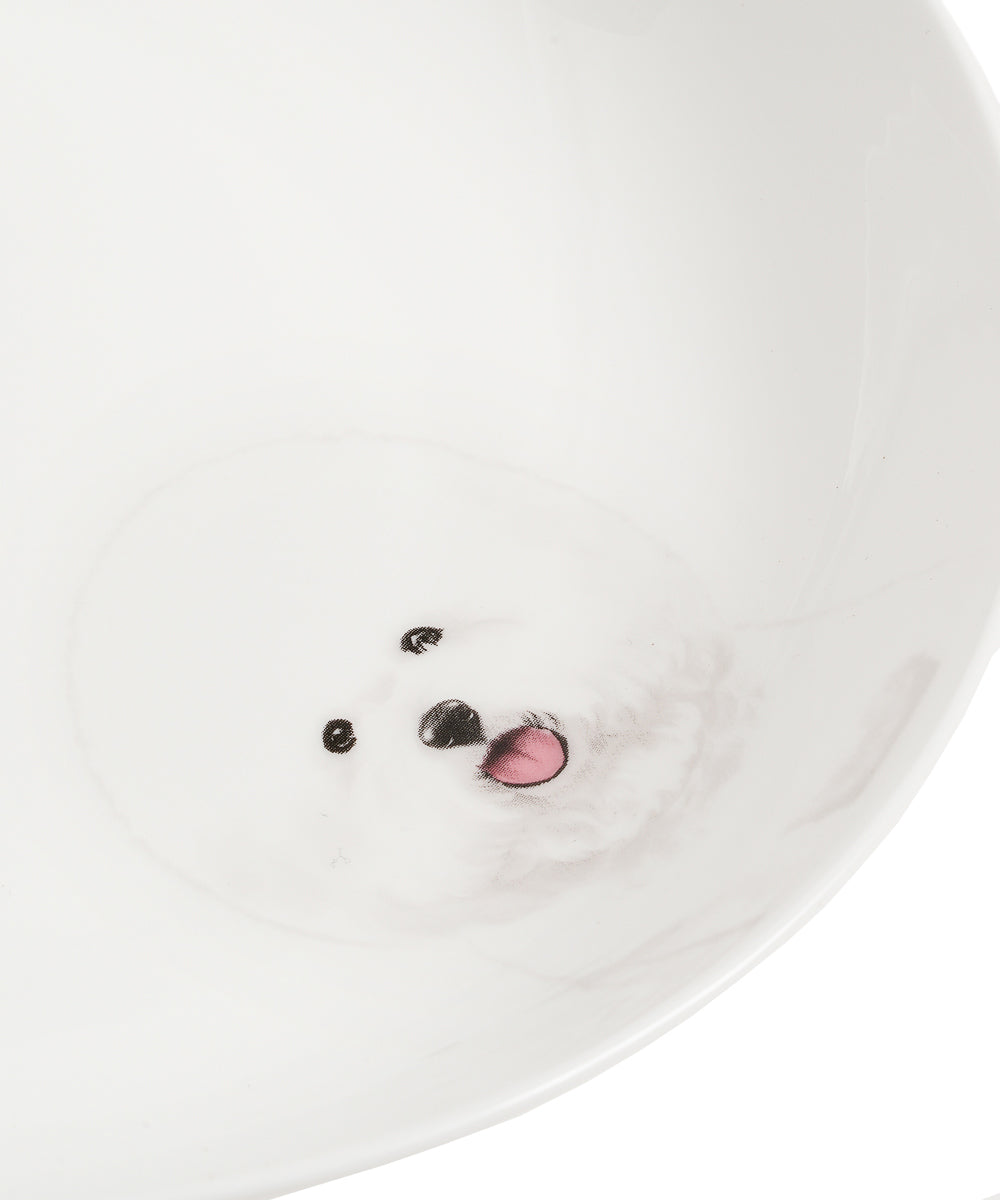 Pet Portrait Porcelain Side Print 8" Plate Set - Bichon