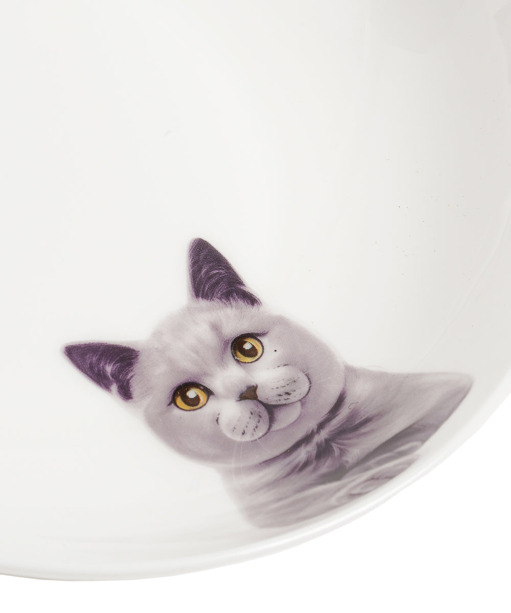 Pet Portrait Porcelain Side Print 8" Plate Set - Chartreux