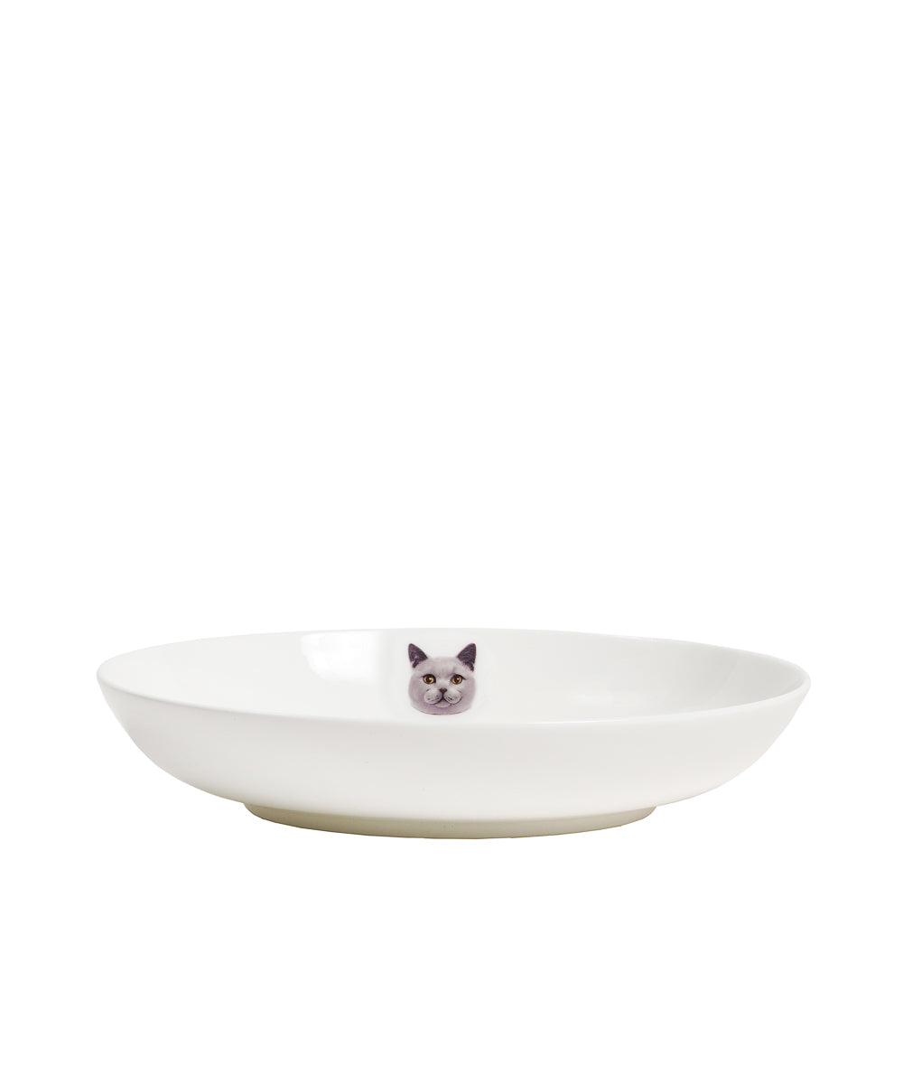 Pet Portrait Porcelain Side Print 8" Plate Set - Chartreux