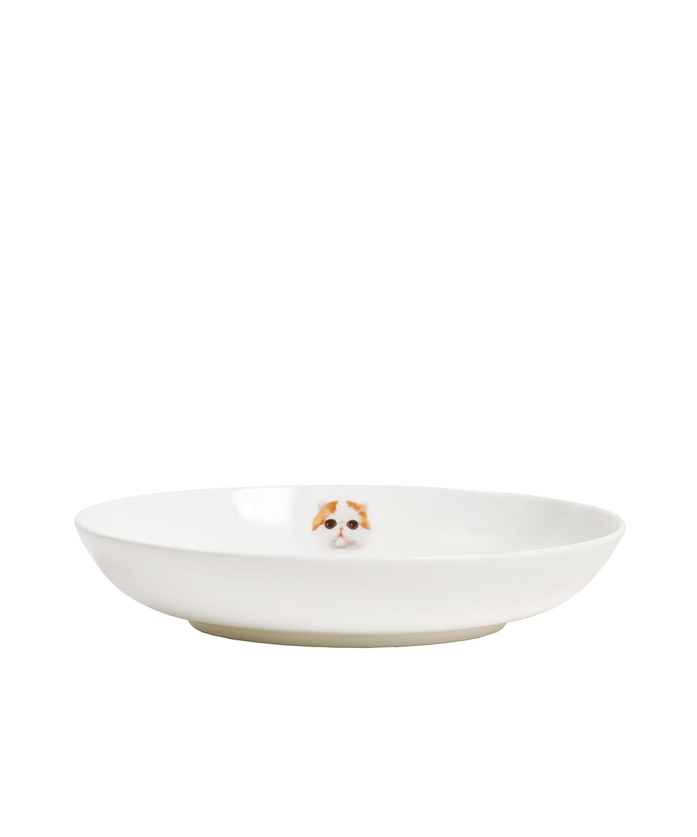 Pet Portrait Porcelain Side Print 8" Plate Set - Exotic Shorthair