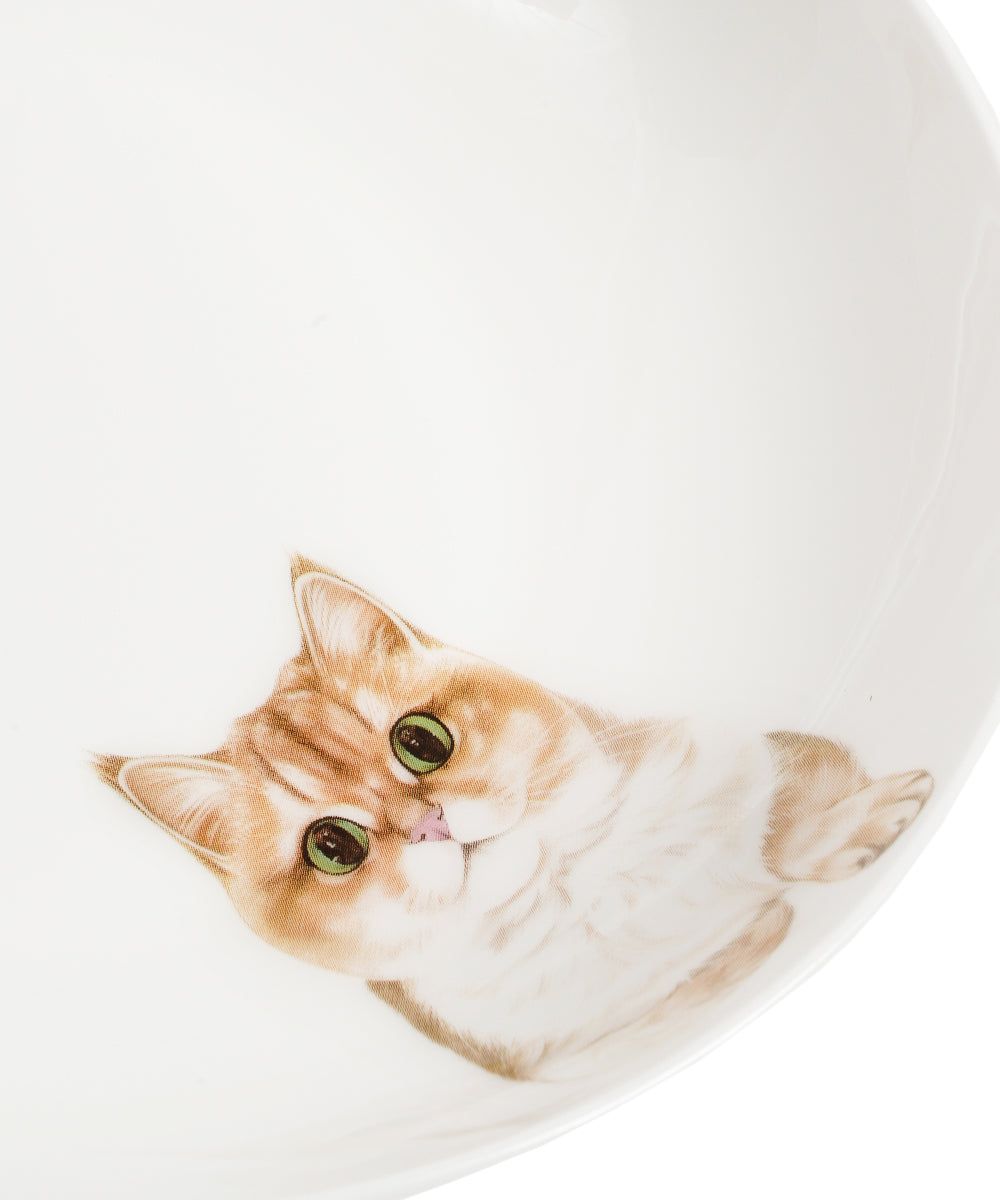 Pet Portrait Porcelain Side Print 8" Plate Set - British Shorthair(Golden)