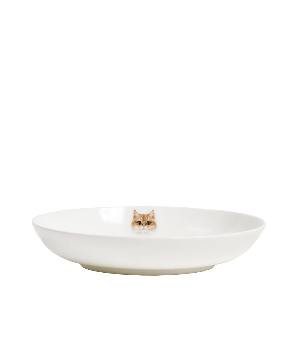 Pet Portrait Porcelain Side Print 8" Plate Set - British Shorthair(Golden)