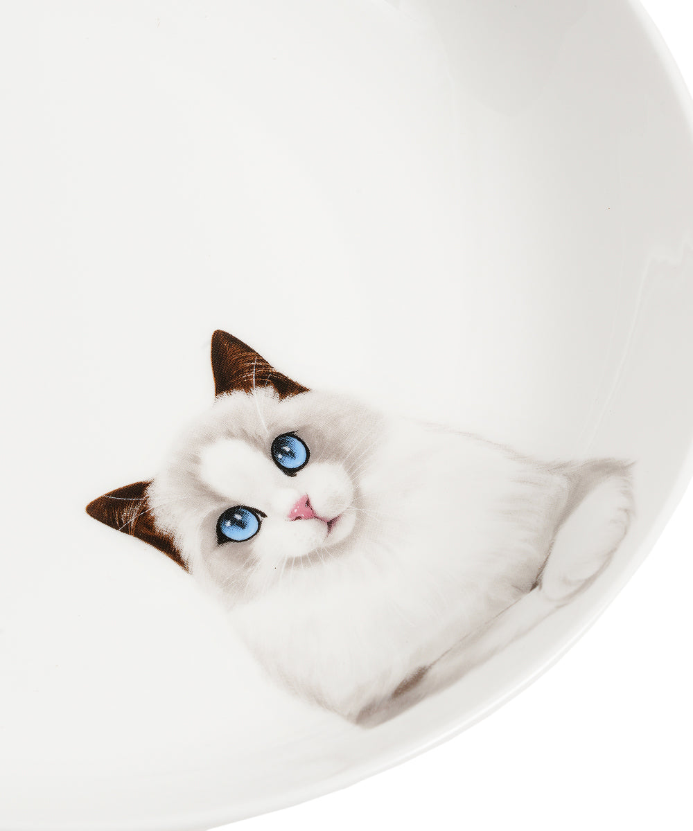 Pet Portrait Porcelain Side Print 8" Plate Set - Ragdoll