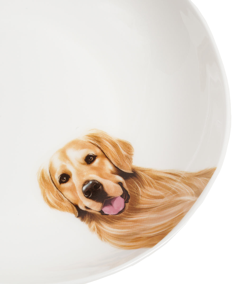 Pet Portrait Porcelain Side Print 8" Plate Set - Golden Retriever