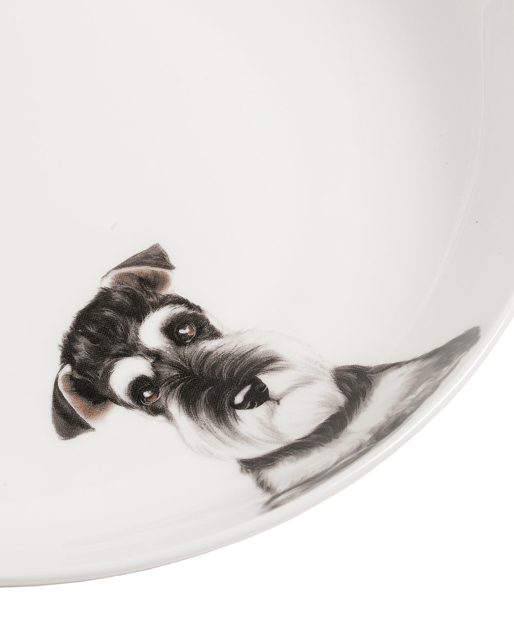 Pet Portrait Porcelain Side Print 8" Plate Set - Schnauzer