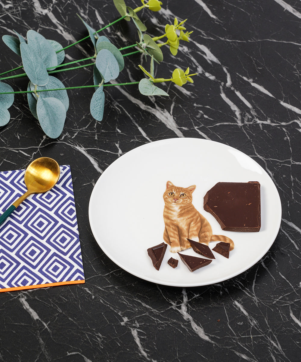 Pet Portrait Porcelain Middle Print 6" Plate - Orange Tabby