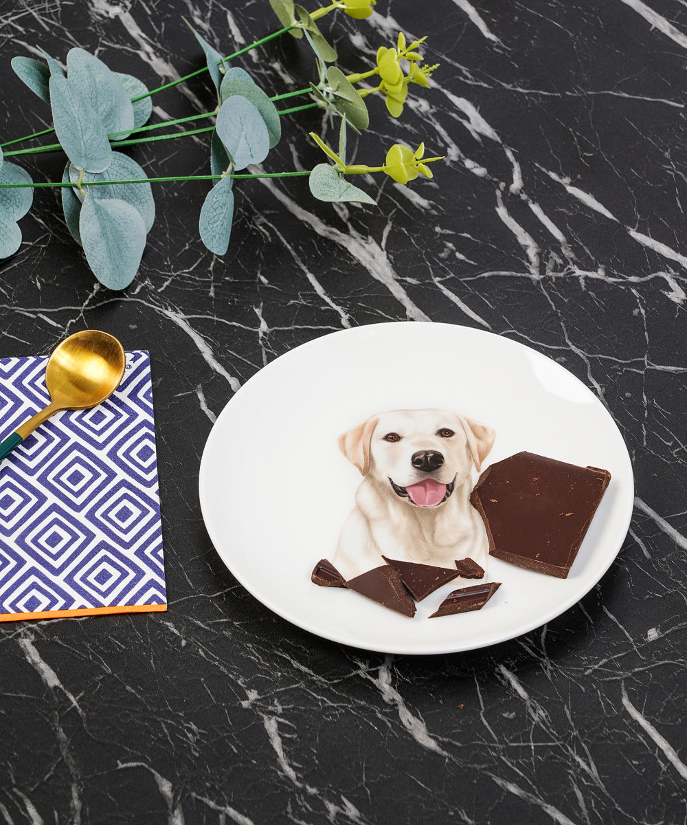 Pet Portrait Porcelain Dinnerware 11-Piece Set - Labrador