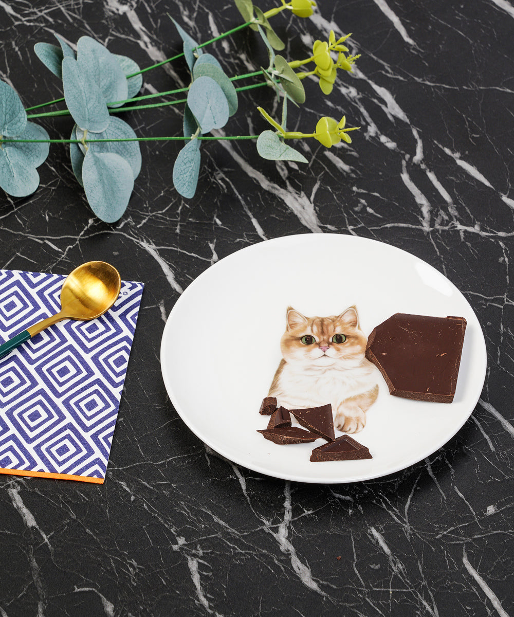 Pet Portrait Porcelain Dinnerware 11-Piece Set - British Shorthair(Golden)