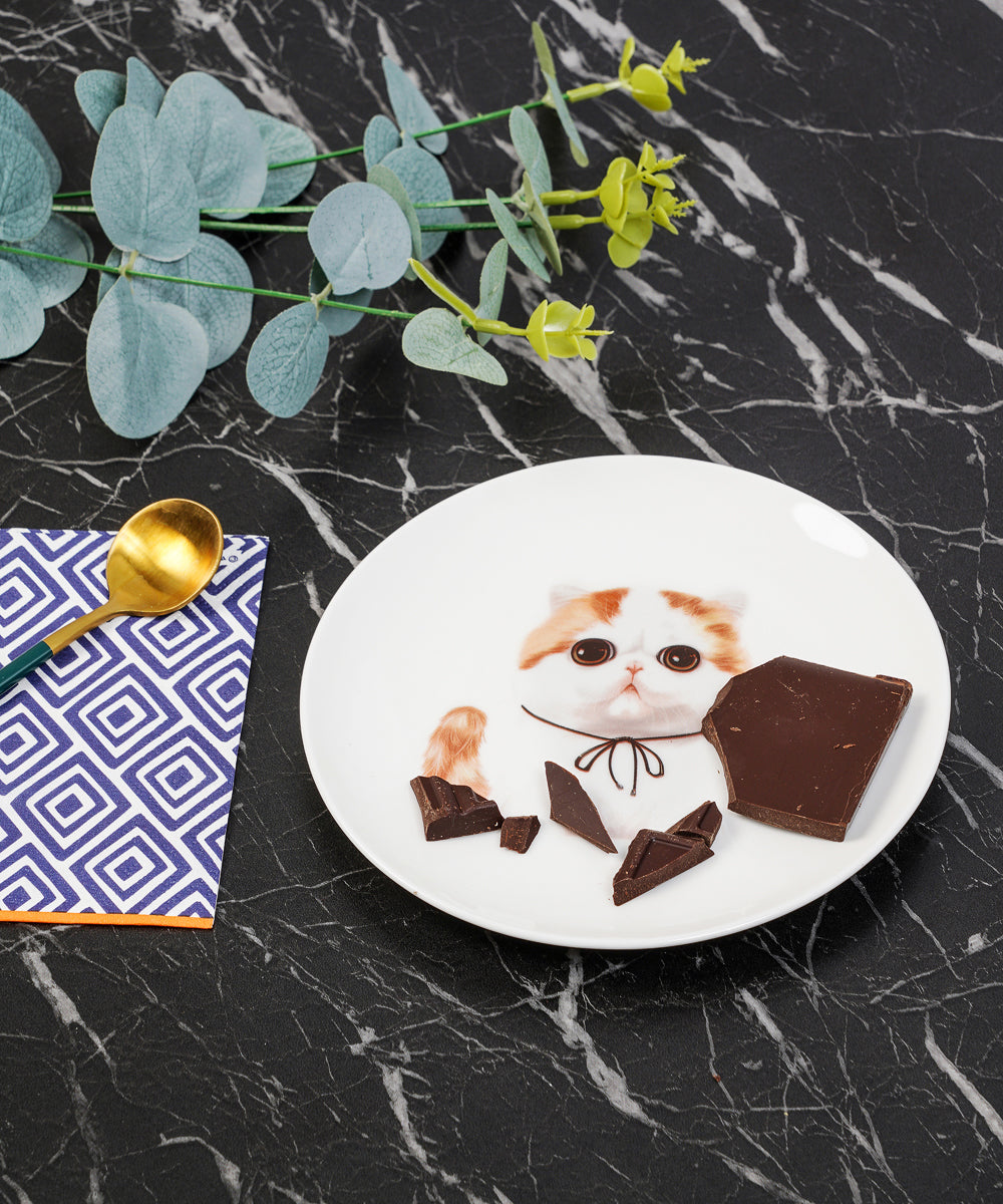Pet Portrait Porcelain Dinnerware 11-Piece Set - Exotic Shorthair