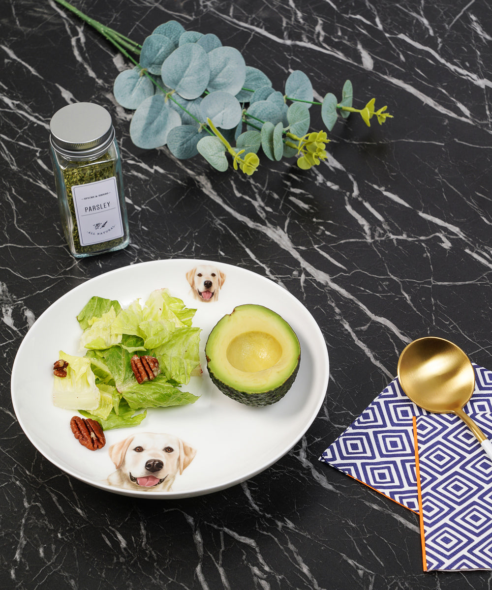 Labrador Double Sided Round Plate On Kitchen Counter With Food