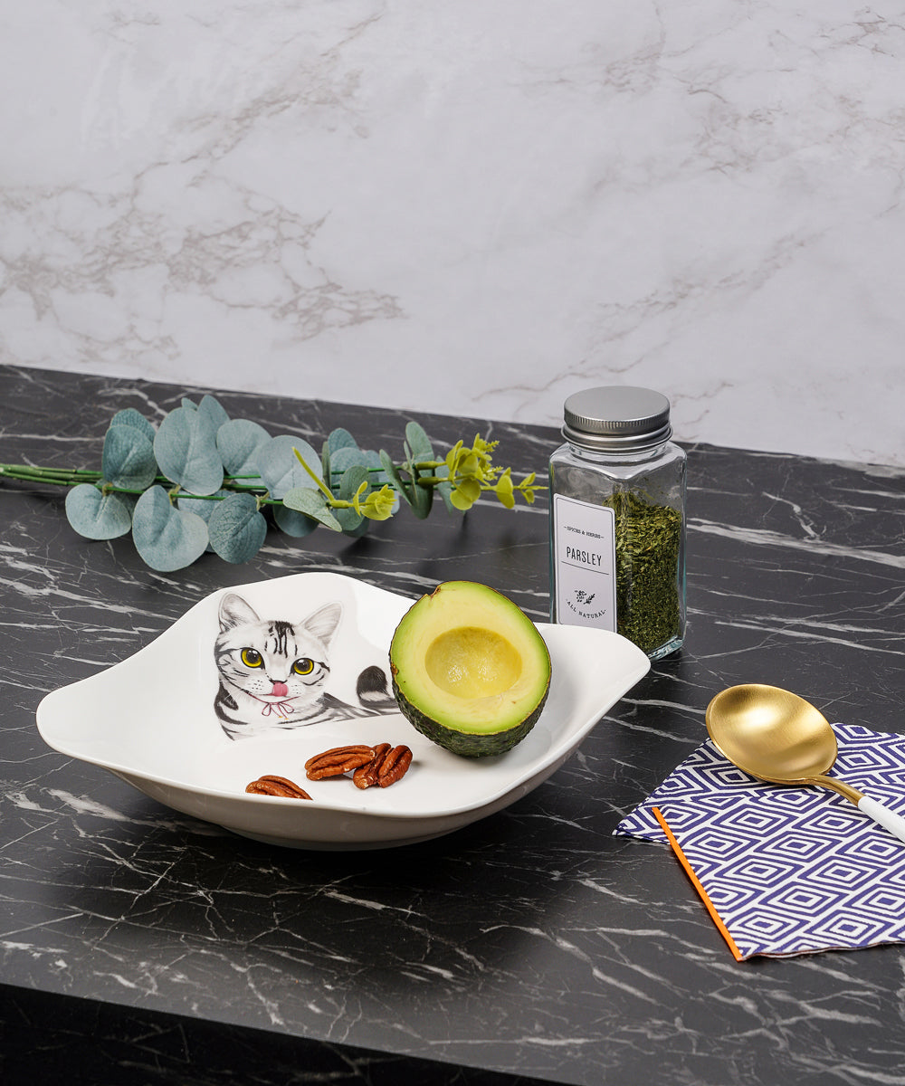 Pet Portrait Porcelain Square Plate - American Shorthair on table