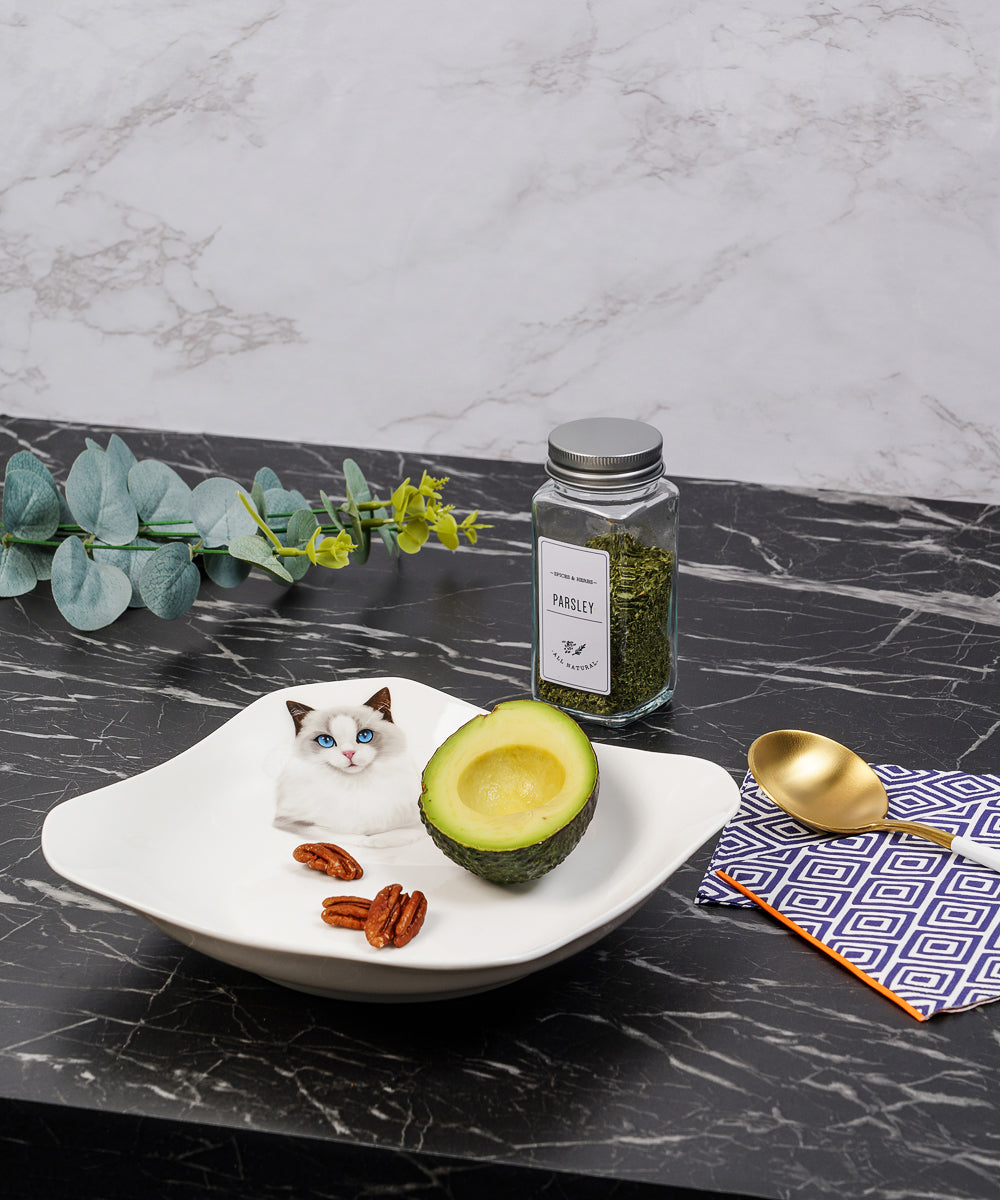 Pet Portrait Porcelain Square Plate - Ragdoll on table