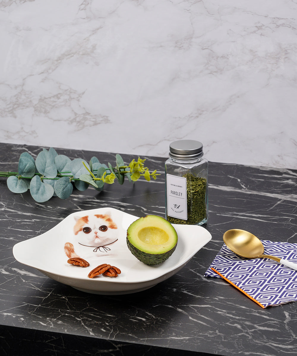 Pet Portrait Porcelain Square Plate - Exotic Shorthair on table